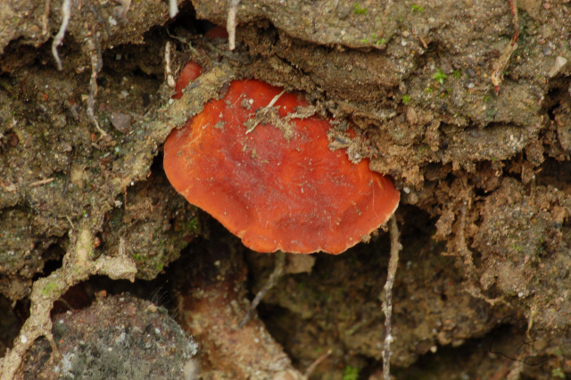 Criticatemi pure senza piet�!